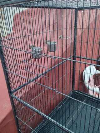 Jaula Voladera para Pájaros Negra