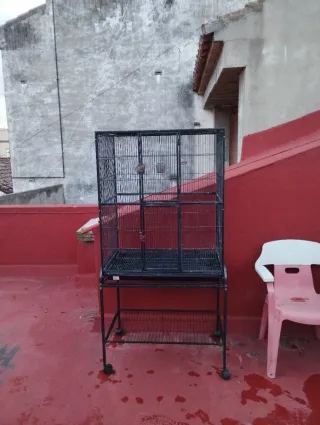 Jaula Voladera para Pájaros Negra