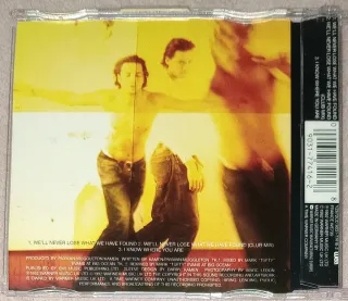 Nick Kamen cd single We'll Never Lose What We H