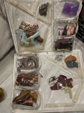 Conjunto Bratz con caja y accesorios