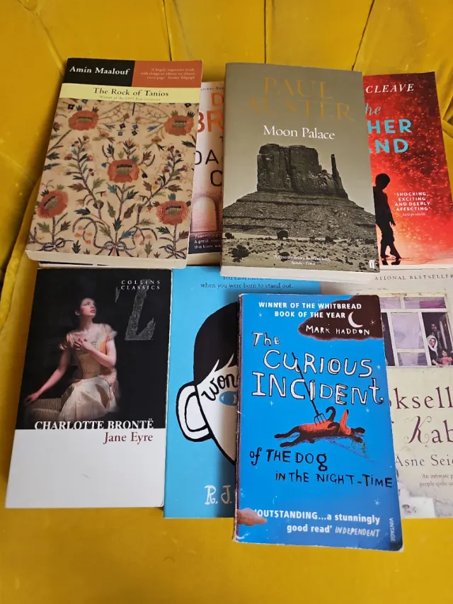 Lote de libros Literatura