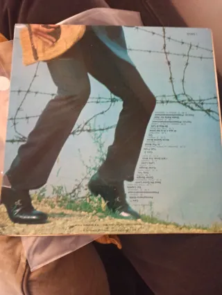 Adriano Celentano LP - Prisencolinensinainciusol