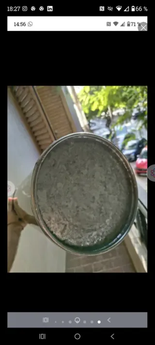 Paragüero clásico, verde con imagen