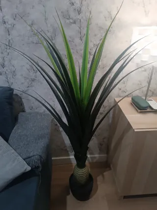 Planta Aloe Vera Grande Artificial.