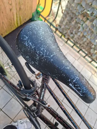 Bianchi Ragno Thomisus Taglia 50