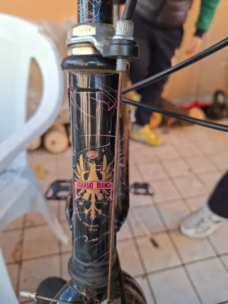 Bianchi Ragno Thomisus Taglia 50