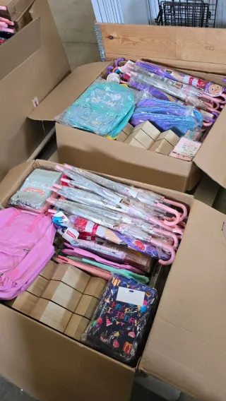 Palet Mixto de mas de 500 articulos + REGALO