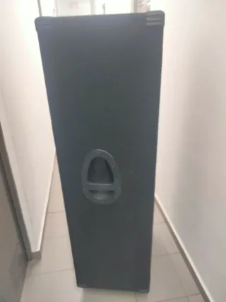 Pantalla Behringer BB810 Bajo