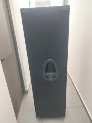 Pantalla Behringer BB810 Bajo