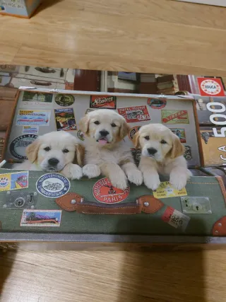 Puzzle Educa 500 piezas cachorros