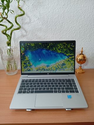 Portátil HP ProBook Plata