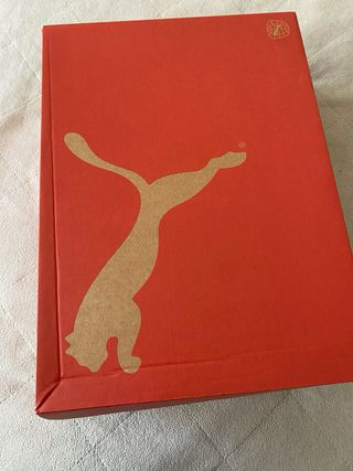 Botas de montaña Puma Beige/Negro