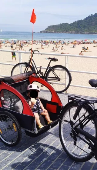 Carro remolque bicicleta niños
