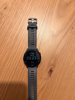 Reloj Garmin Forerunner 255 GPS