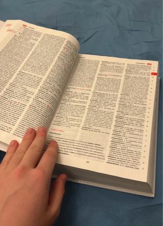 Il vocabolario della lingua latina. Latino-ital...