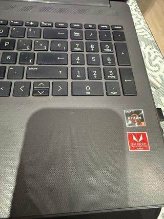 Portátil HP 255 G7 Negro