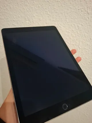 iPad Air 2 Plata/Gris Espacial