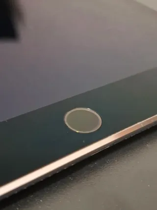 iPad Air 2 Plata/Gris Espacial