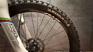 Bicicleta de Montaña Orbea Blanca