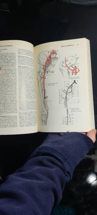 *ATLAS DE ANATOMIA, VOL.1, 2 y 3