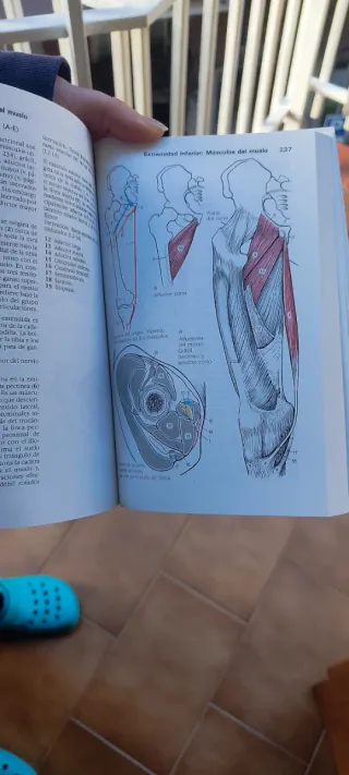 *ATLAS DE ANATOMIA, VOL.1, 2 y 3