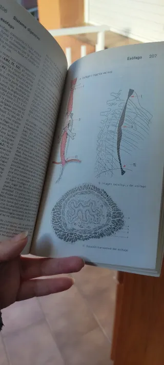 *ATLAS DE ANATOMIA, VOL.1, 2 y 3