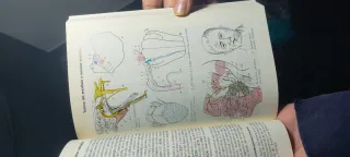 *ATLAS DE ANATOMIA, VOL.1, 2 y 3