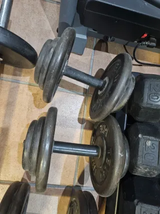 Mancuernas de gimnasio