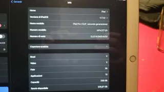 iPad Pro 12.9 256GB + Apple Pencil