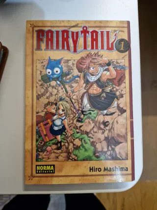 FAIRY TAIL 01 (CÓMIC MANGA) (Spanish Edition)