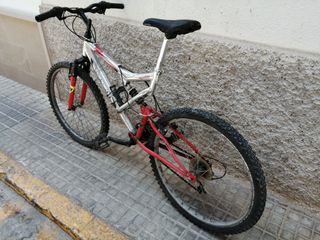 Bicicleta de Montaña