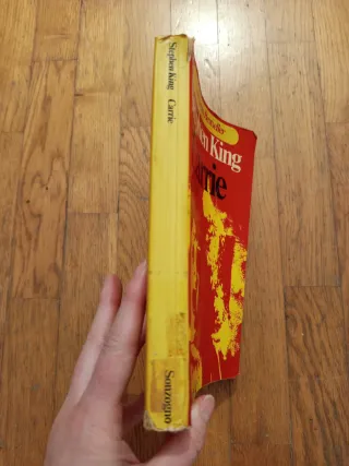 Carrie - Stephen King