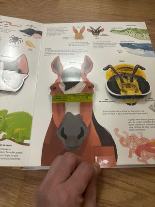 Pack primeros cuentos