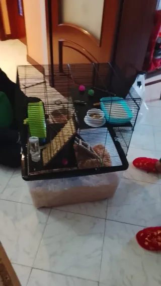 Gabbia/Teca per criceti e piccoli animali