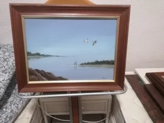 2 Cuadros Acrílicos Vuelo Gaviotas