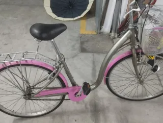 Bicicleta rosa y gris