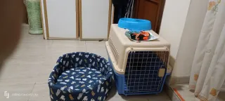 Transportín y cama para mascotas y correa