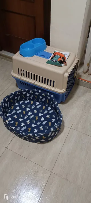 Transportín y cama para mascotas y correa