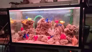 Vendo Acuario 250L con mesa y filtro. 100x 50x50 .