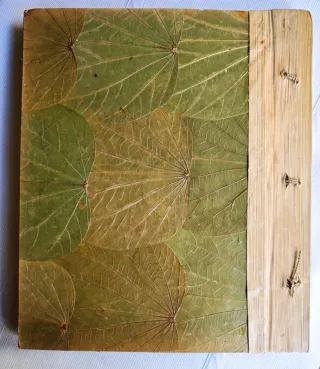 Álbum de fotos artesanal diseño lagarto