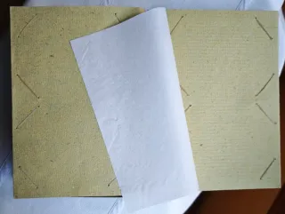 Álbum de fotos artesanal diseño lagarto