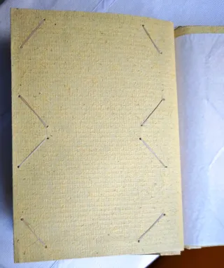 Álbum de fotos artesanal diseño lagarto