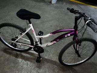 Bicicleta 26 pulgadas