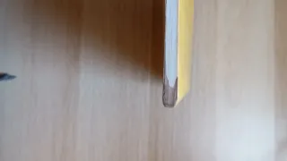 Diálogos sobre la culminación de los tiempos...