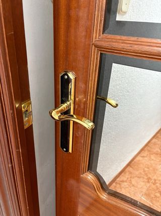 2 Puertas de Madera con Cristal