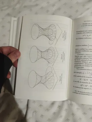 Lecciones sobre el desarrollo de la matemática ...