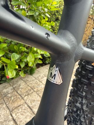 Bicicleta Eléctrica Specialized Turbo Levo talla M