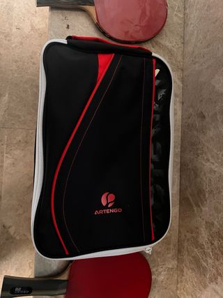 Mesa de Ping Pong Oficial Plegable