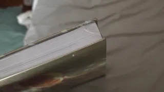 Precintada - Guía Zelda Breath of the Wild