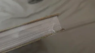 Precintada - Guía Zelda Breath of the Wild